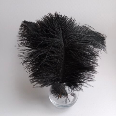 Перо страуса черное 15 - 20 см.