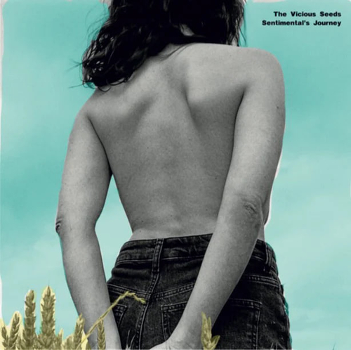 The Vicious Seeds - Sentimental's Journey - USA, Funk Night