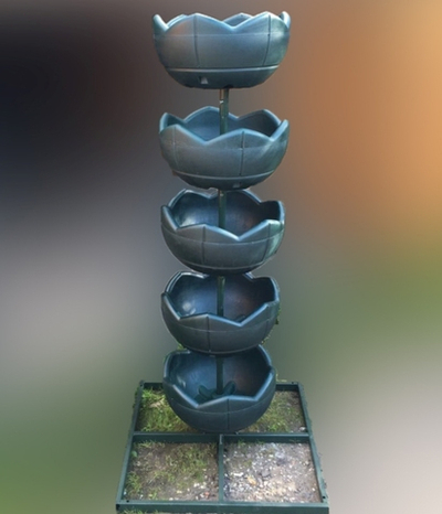 Цветочница Гейзер