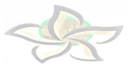 Потолочная люстра Natali Kovaltseva Olimp LED LAMPS 81146