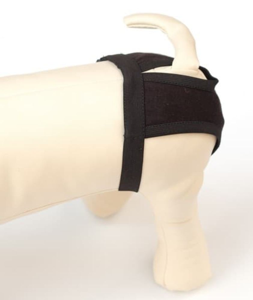 ТРУСЫ ГИГИЕНИЧЕСКИЕ Д/СОБАК N6 (К)