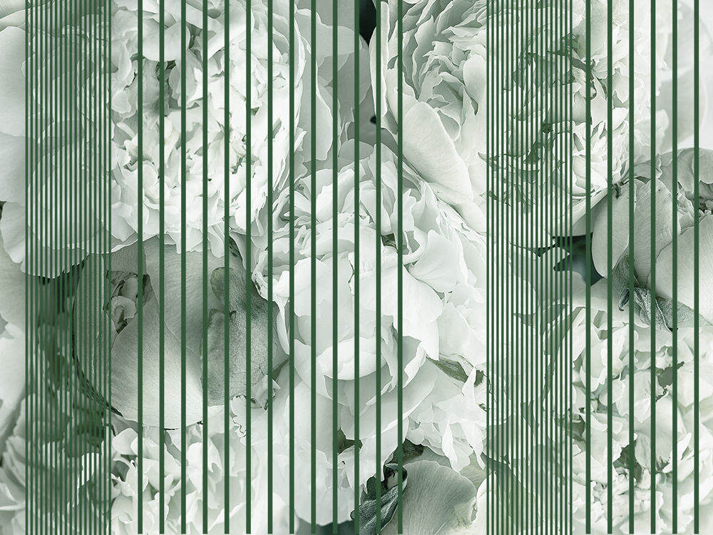 Коллекция GREENDAY 22