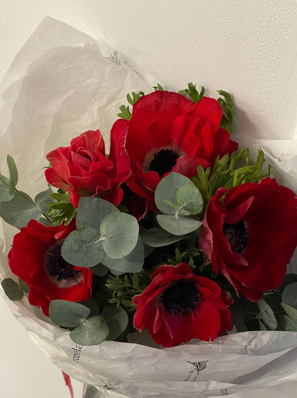 Букет из красных анемонов
