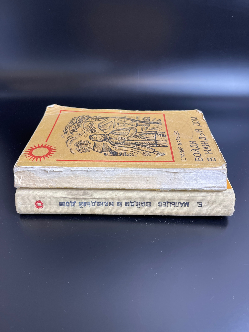 2 книги "Войди в каждый дом". Елизар Мальцев. 1976 год