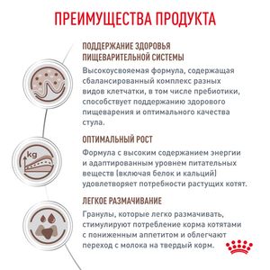 Корм сухой Royal Canin GASTROINTESTINAL KITTEN для котят в возрасте от 2 до 10 месяцев при нарушениях пищеварения