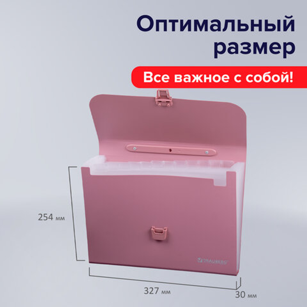 Папка-портфель пласт. BRAUBERG А4 (327х254х30мм), 13 отделений, розовый, 221441