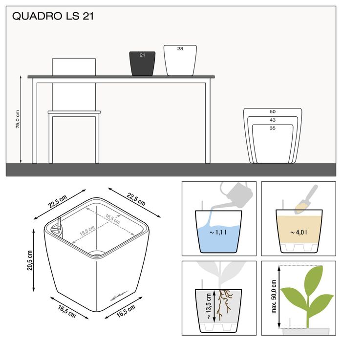 Lechuza Quadro LS 21