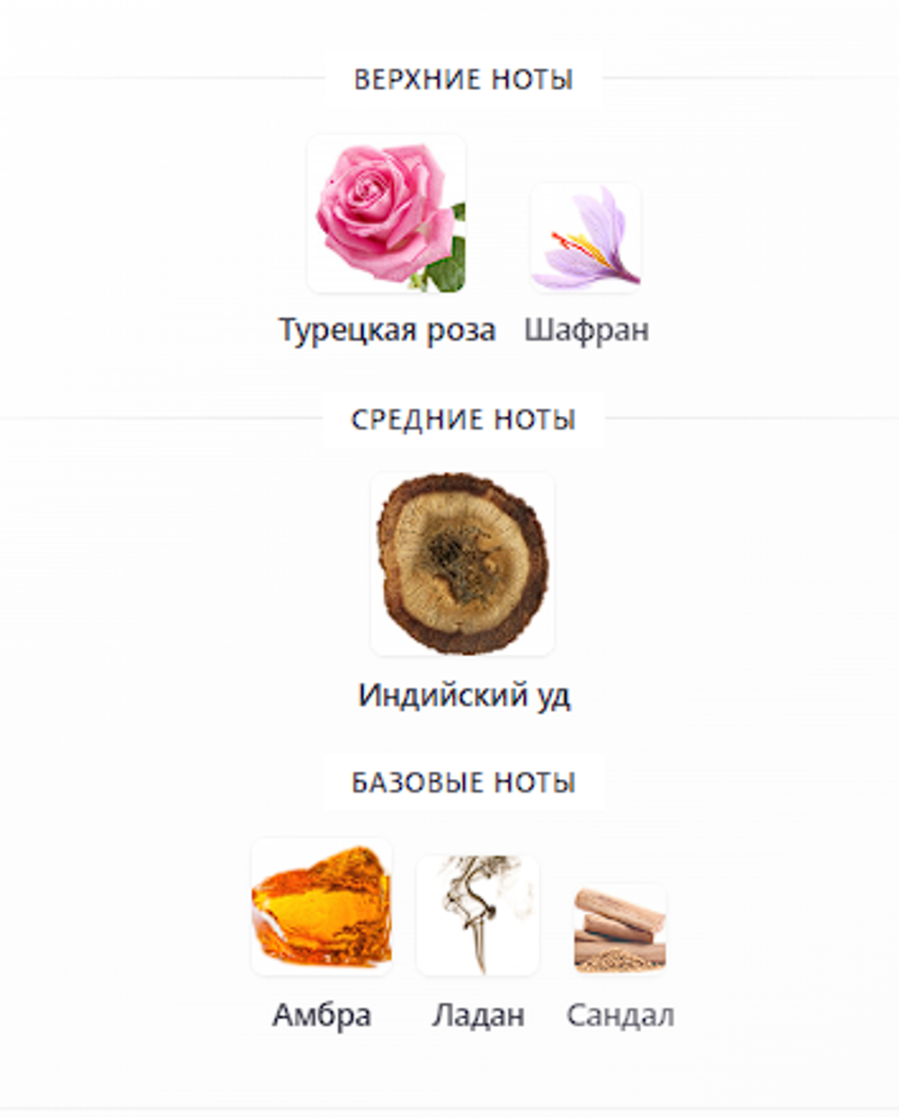 The Night Frederic Malle 100 ml (duty free парфюмерия)