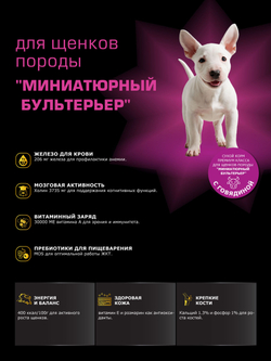 Корм сухой для щенков породы Миниатюрный бультерьер, с говядиной, 800 гр, QUATTRO