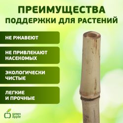 GBS-10-180 GREEN APPLE Поддержка бамбуковая 180см o 10мм набор 5шт | GREEN APPLE
