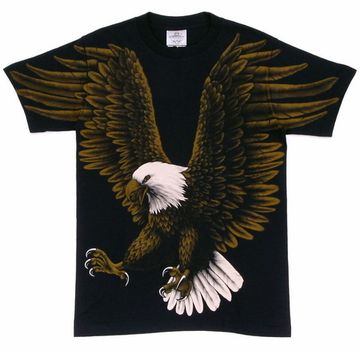 Футболка Орёл взмах крыльев (433)