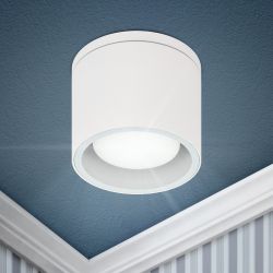 Светильник настенно-потолочный спот ЭРА WL40 WH GX53, белый, IP54