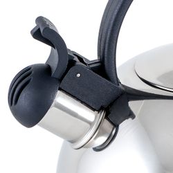 Чайник для плиты Gipfel Estella 8598 2,5 л