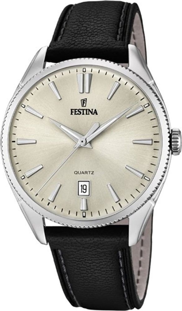 Мужские наручные часы Festina F16977/3
