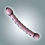 Розовый двусторонний фаллоимитатор из стекла - 18,5 см. (Цвет: розовый)
