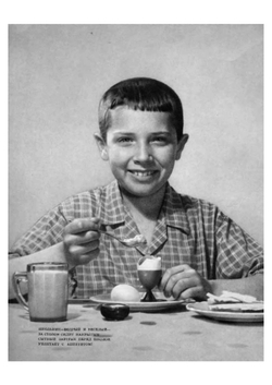 Питание школьника. Книга о том, как правильно кормить школьника, чтобы он вырос здоровым, ловким и сильным | Нет автора