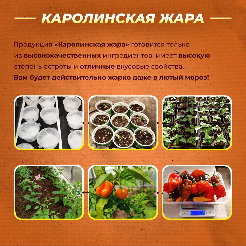 Острый соус "Нежная лава" светлый