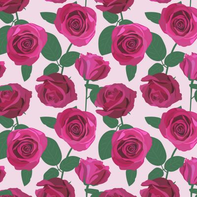 Розовые розы.