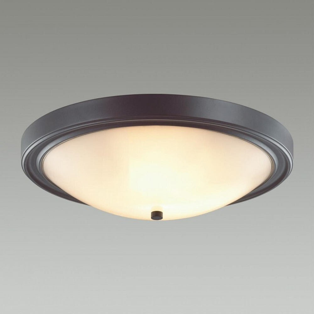 Накладной светильник Lumion 5260/4C