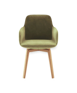 Дизайнерский стул LUPIN olive
