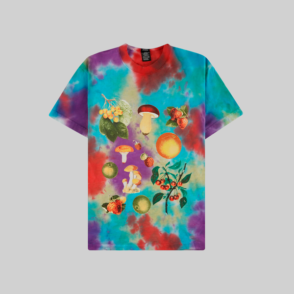 Футболка мужская Obey Fruits & Mushrooms артикул:163132677 - купить в магазине Дайс