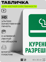 Табличка для частной территории "Курение разрешено", на дом, для участка, для подъезда, организаций и частных территорий, предупреждающая, 40х30 см, Silver Plane x Айдентика Технолоджи
