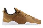 Кроссовки Nike Pg 5 5