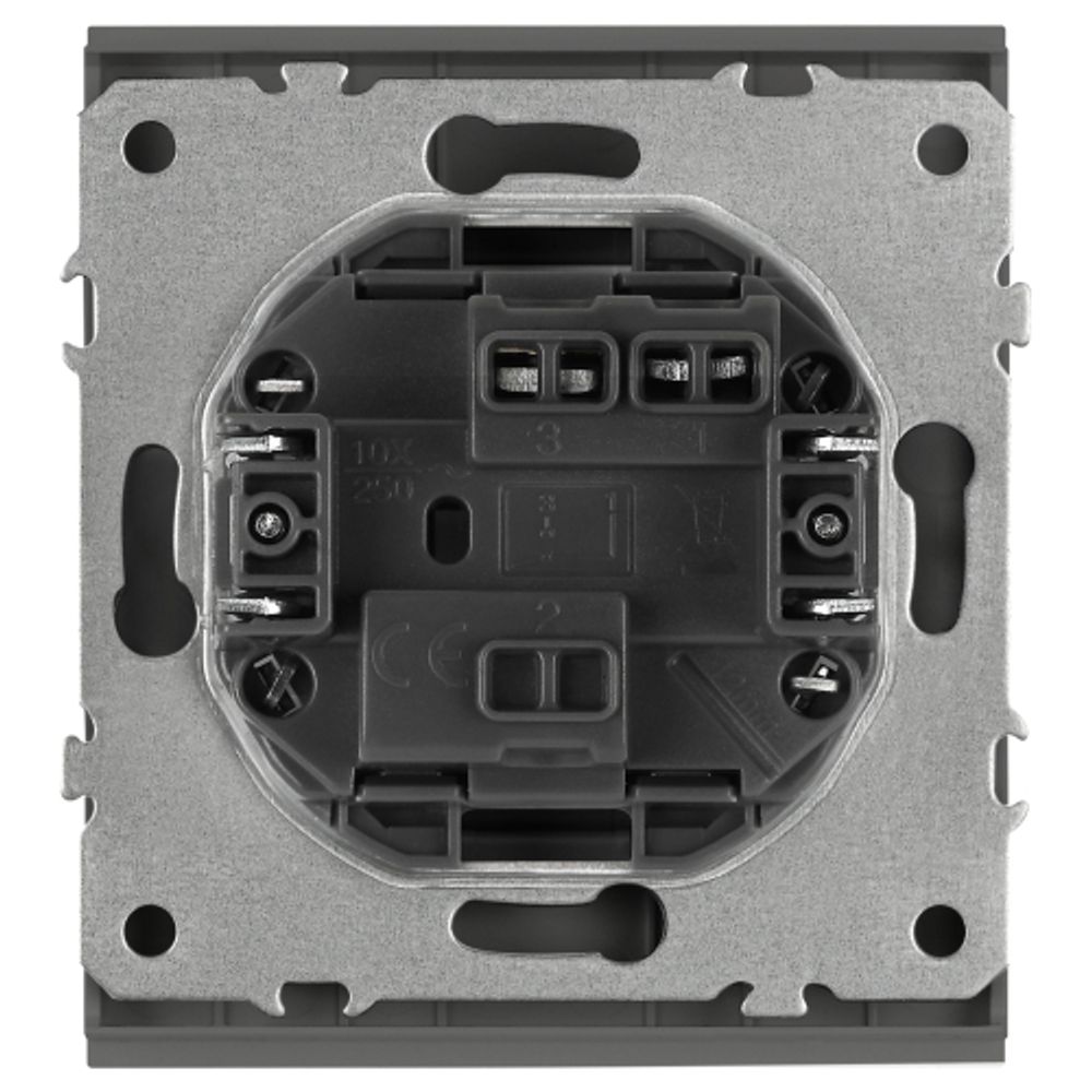 Кнопка ЭРА Arktik 16-1109-06 10АХ-250В графит | Эра Arktik