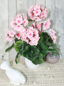 Герань 30см в белом кашпо