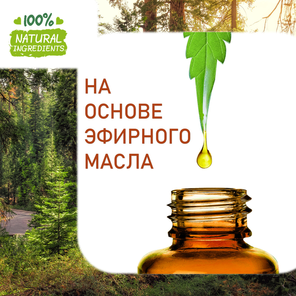 Хвойный лес, отдушка для свечей и мыла