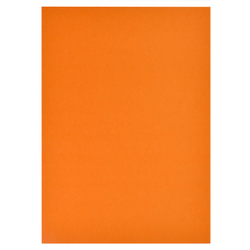 Цветной картон арт. 57201 ЖИВОТНЫЕ /А4, клеевое скрепление, 10 л, обложка - полноцветная печать, мелованный картон с сер
