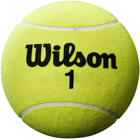 Мяч для автографов Wilson Roland Garros Jumbo Ball 9" Yellow, арт. WRT1419YD
