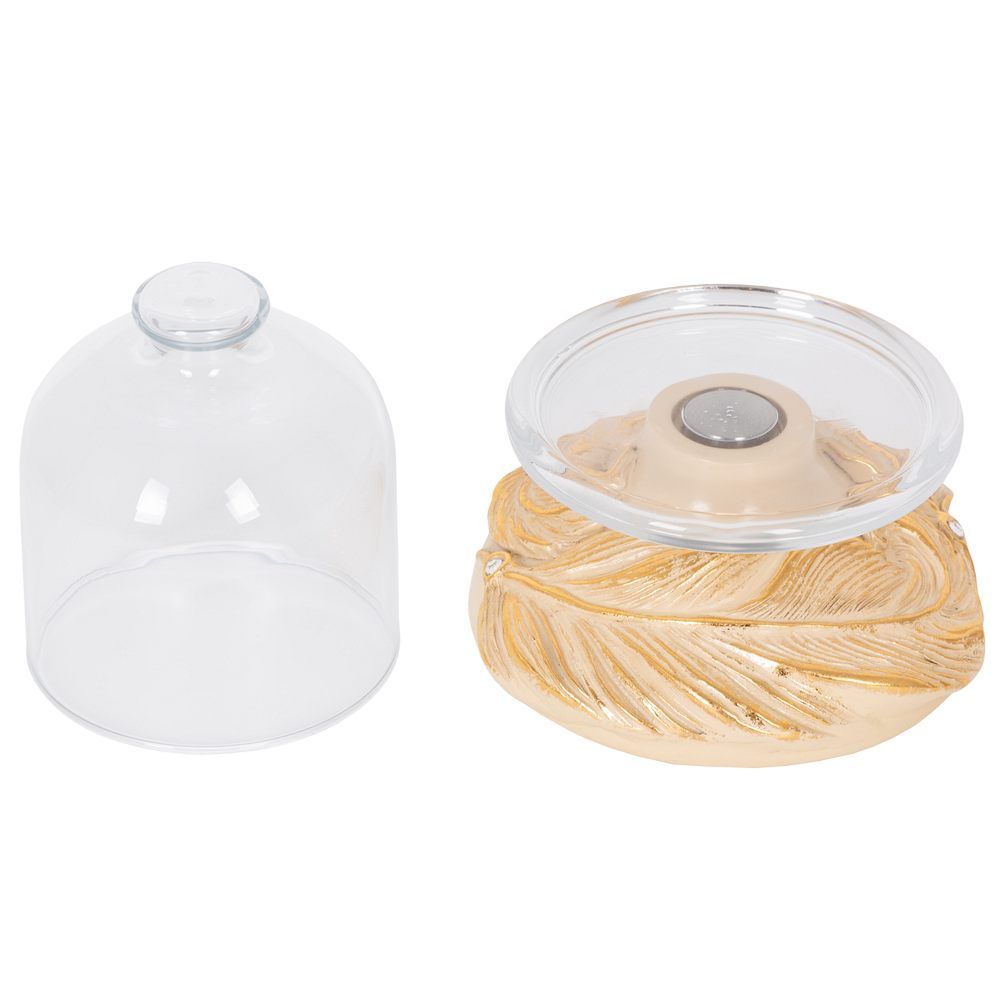 Лимонница Боа Айвори