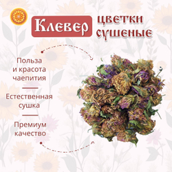 Клевер цвет сушеный.