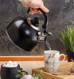 Чайник со свистком DANIKS GS-04001 для плит