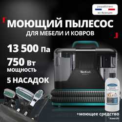 Моющий пылесос для ковров и мебели Tefal Clean It IZ5020F0