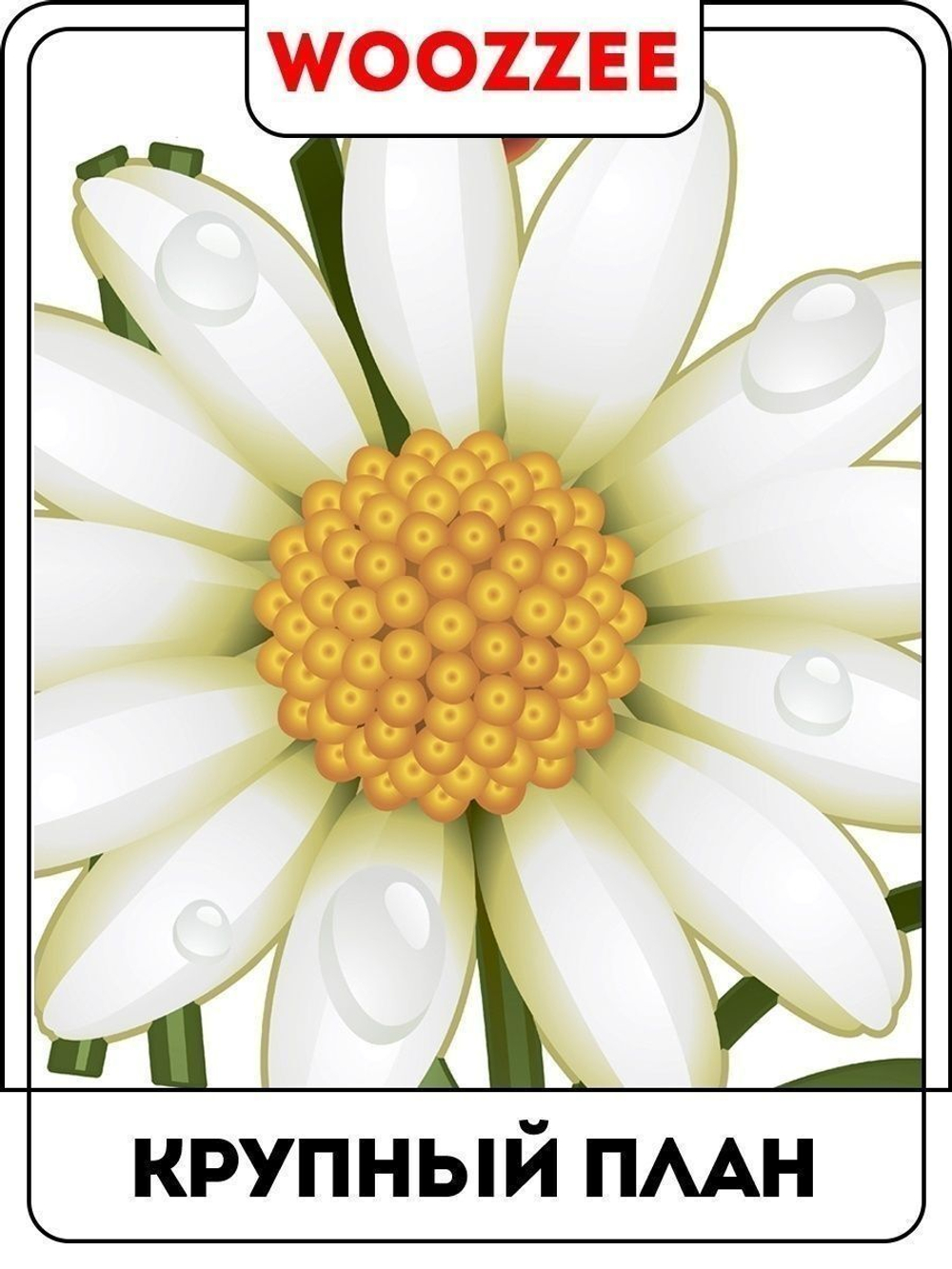Наклейка декоративная  "Букет ромашек"