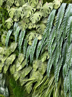 Монстера листья 5 шт