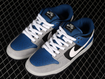 Nike Dunk Low Pro SB Futura