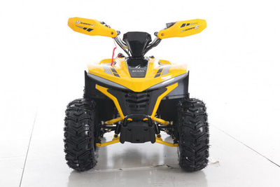 Квадроцикл детский, подростковый GreenCamel Гоби K90 (48V 750W R7 Дифференциал) Tao LUX