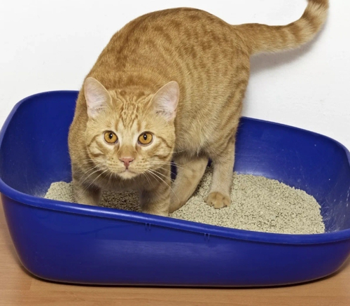 Наполнитель для кошачьего туалета древесный пеллеты 5 кг