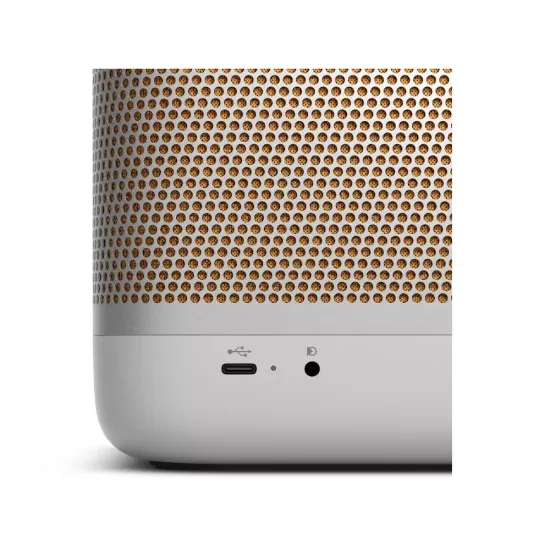 Портативная колонка Bang & Olufsen Beolit 20 Grey Mist