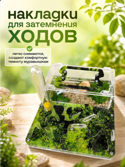 Ферма «Мох» + Колония муравьев «Макси» + Микс корма