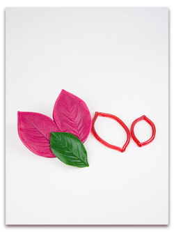 Лист аронии большой (черноплодная рябина)