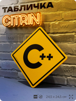 Табличка декоративная "C++" на дверь и стену, для программиста, информационная, декоративный знак, 24,5х24,5 см, пластиковая, Айдентика Технолоджи
