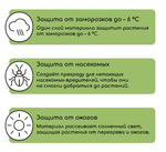 Материал укрывной, 5 × 3.2 м, плотность 20 г/м², спанбонд с УФ-стабилизатором, белый, Greengo, Эконо
