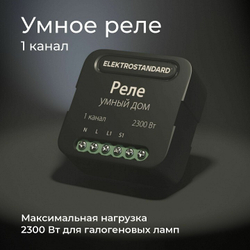 Умное реле Elektrostandard 76006/00