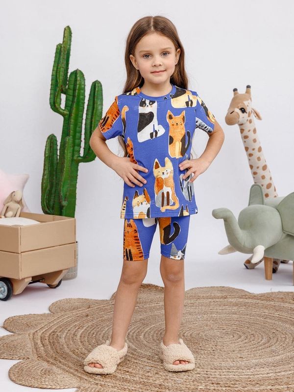 Комплект 4220