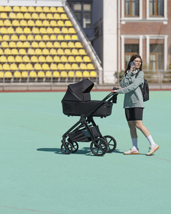 Коляска 2 в 1 Carrello Omega Plus CRL-6540/1 Cosmo Black