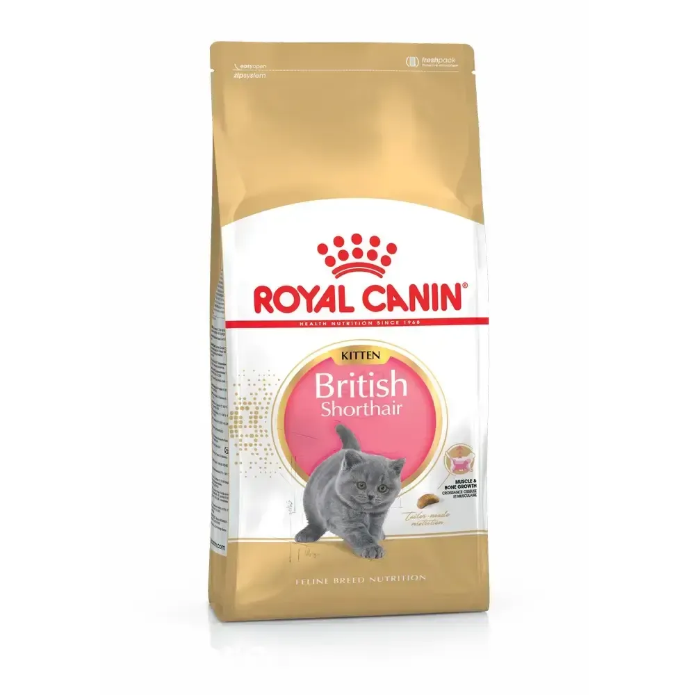Royal Canin FBN British Shorthair Kitten